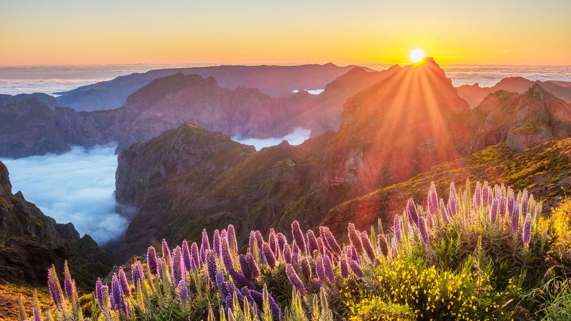 Sunrise Above the Clouds: Pico do Arieiro, Madeira