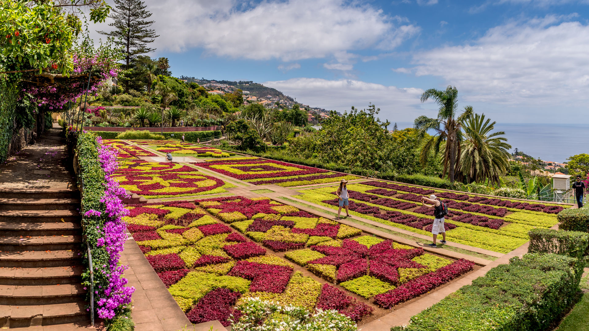 Colors of Madeira's Botanical Garden in Funchal