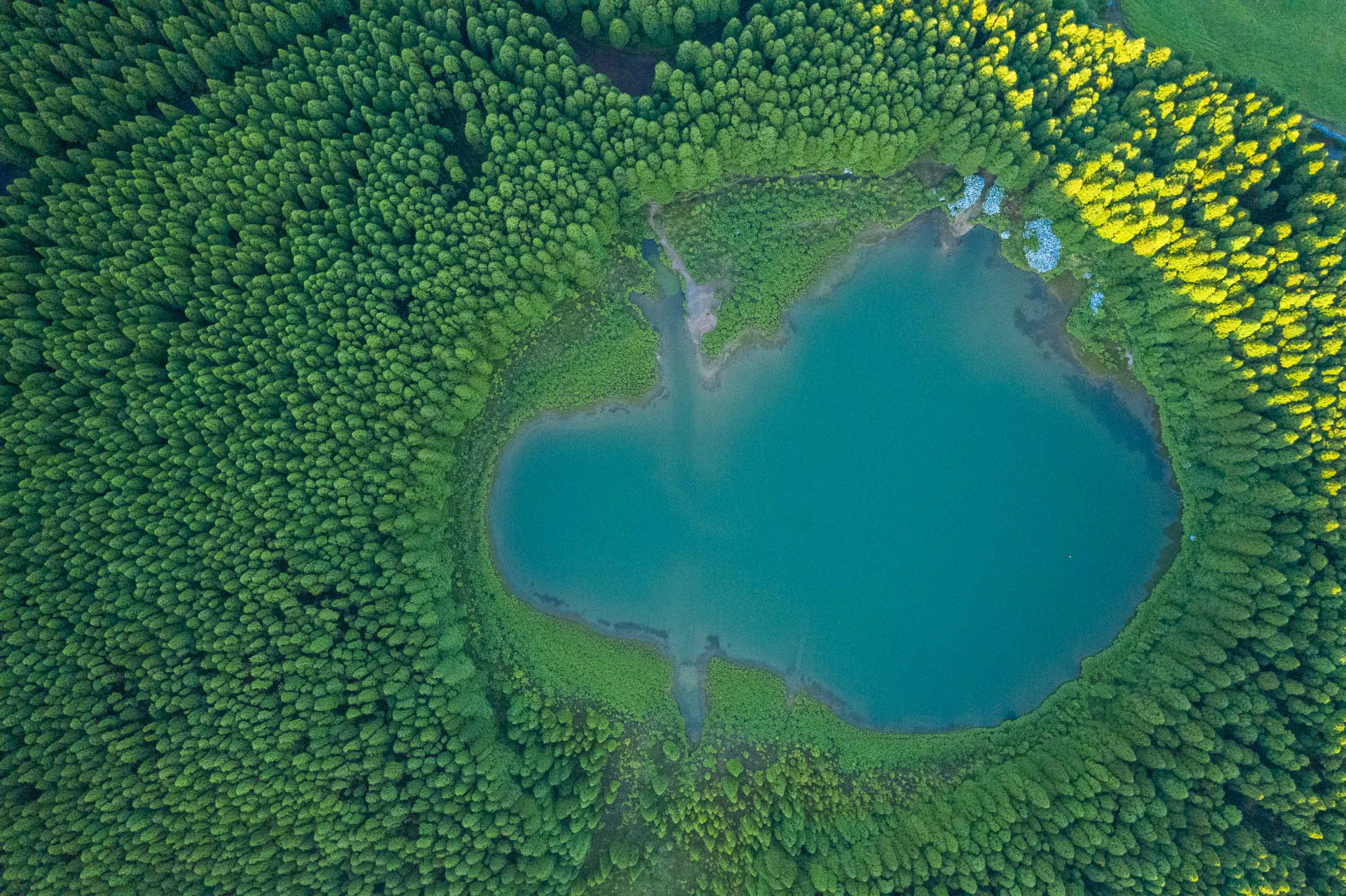 Lagoa do Canário, nestled in the green hills of São Miguel