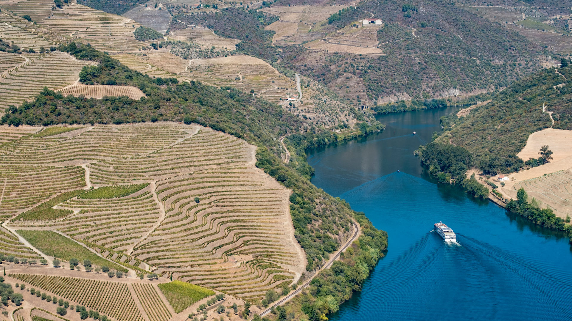 Douro Cruise