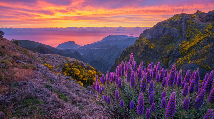 Sunrise near Pico do Areeiro, Madeira Island