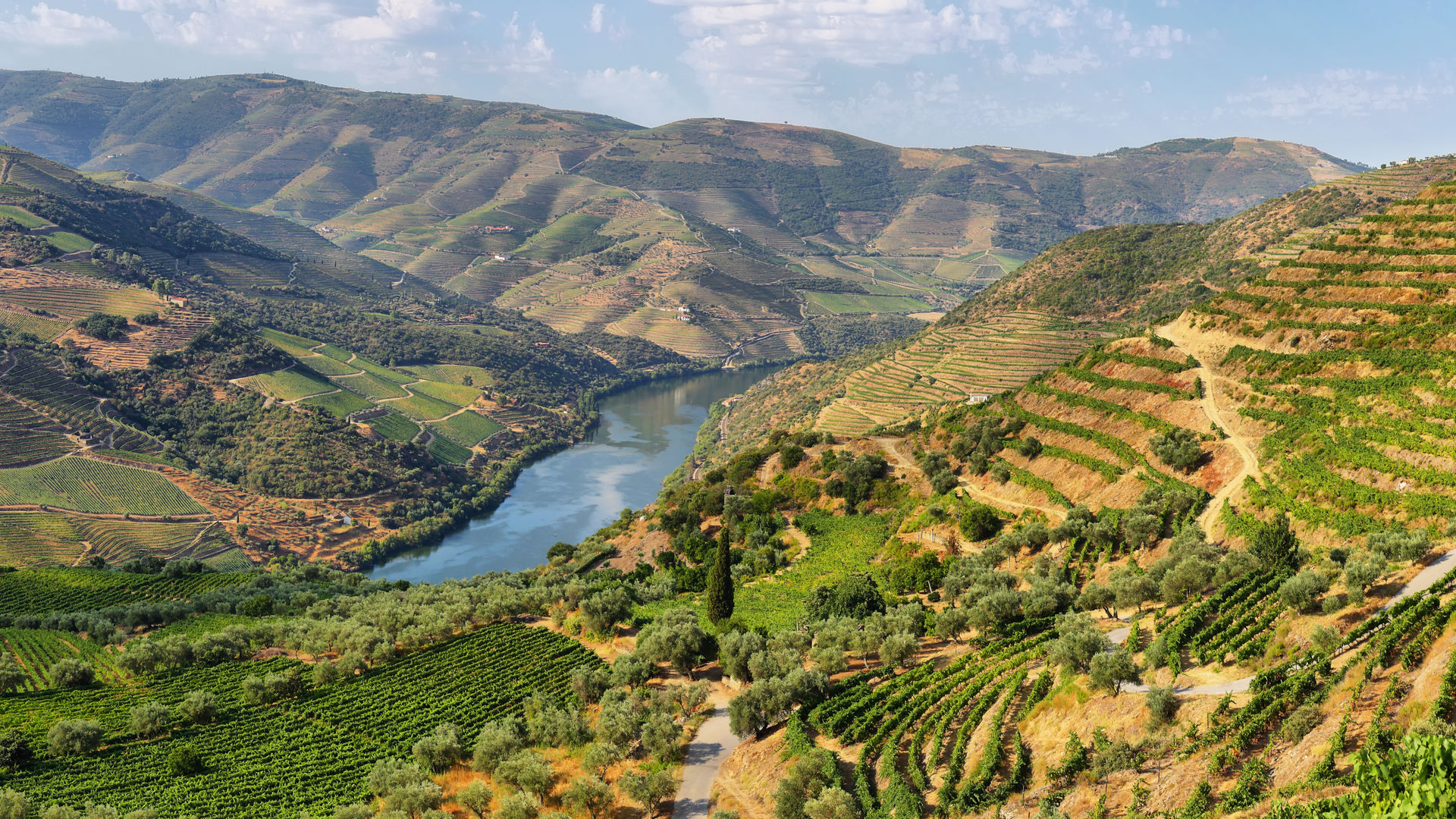 Douro Valley