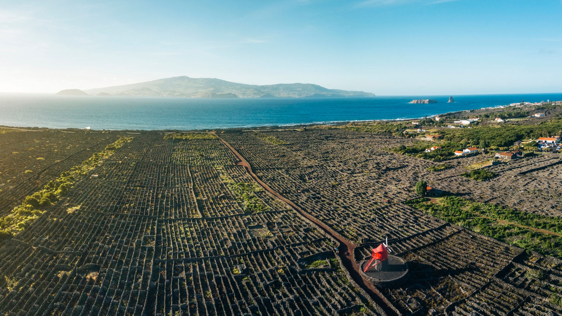Criação Velha Vineyards, Pico Island