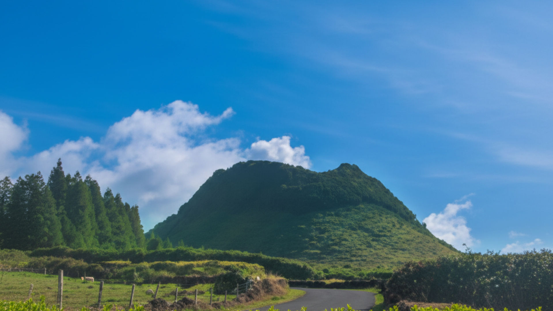 Mistérios Negros Hiking Trail, Terceira Island (Inclouded)