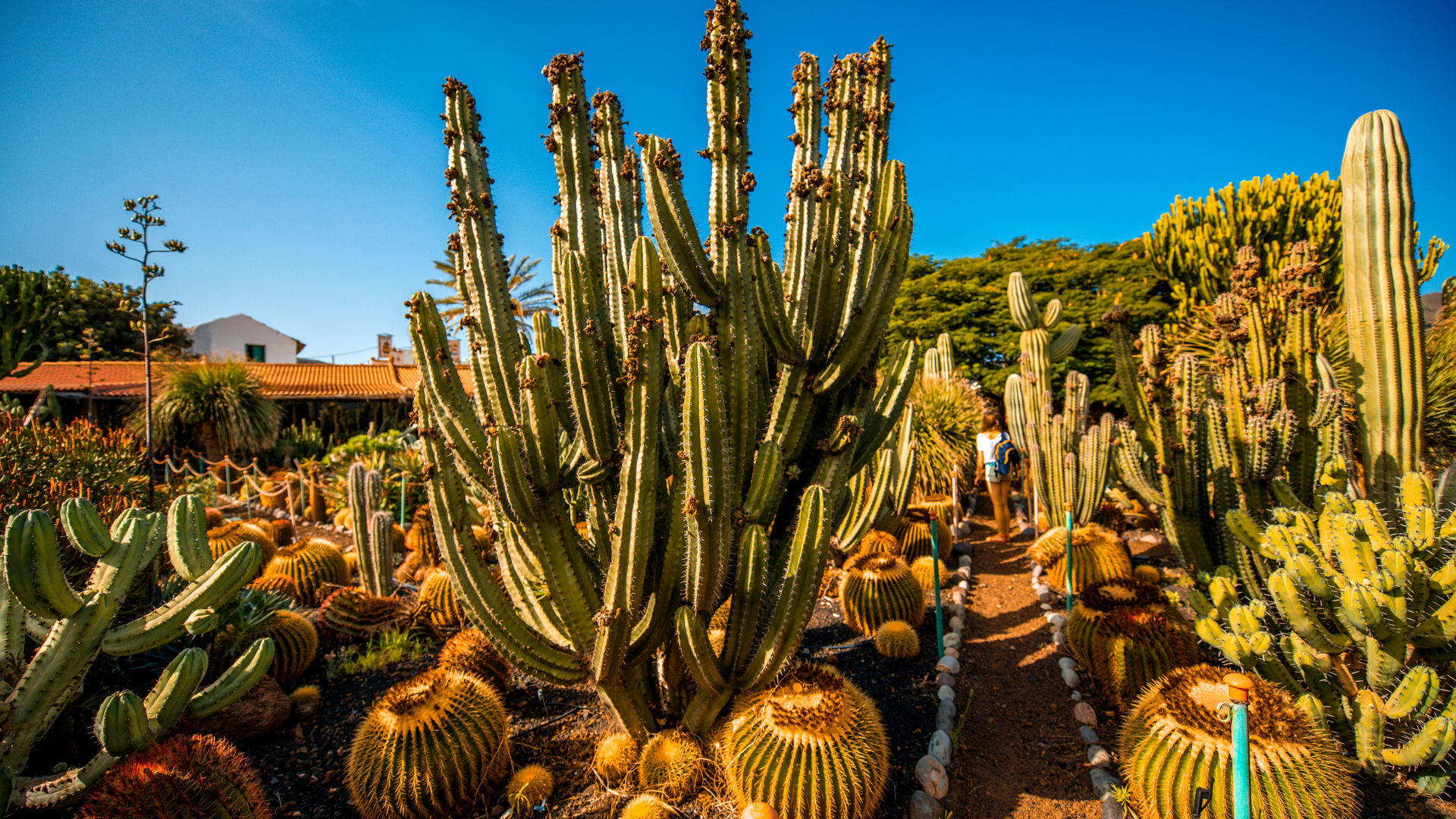 Cactualdea Park, Gran Canaria