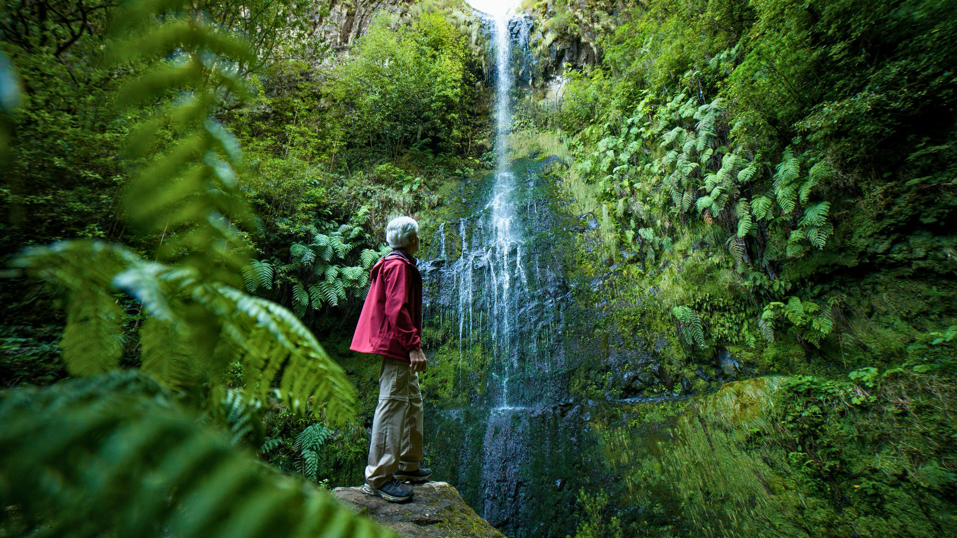 Levada Caldeirão Verde, Madeira Island