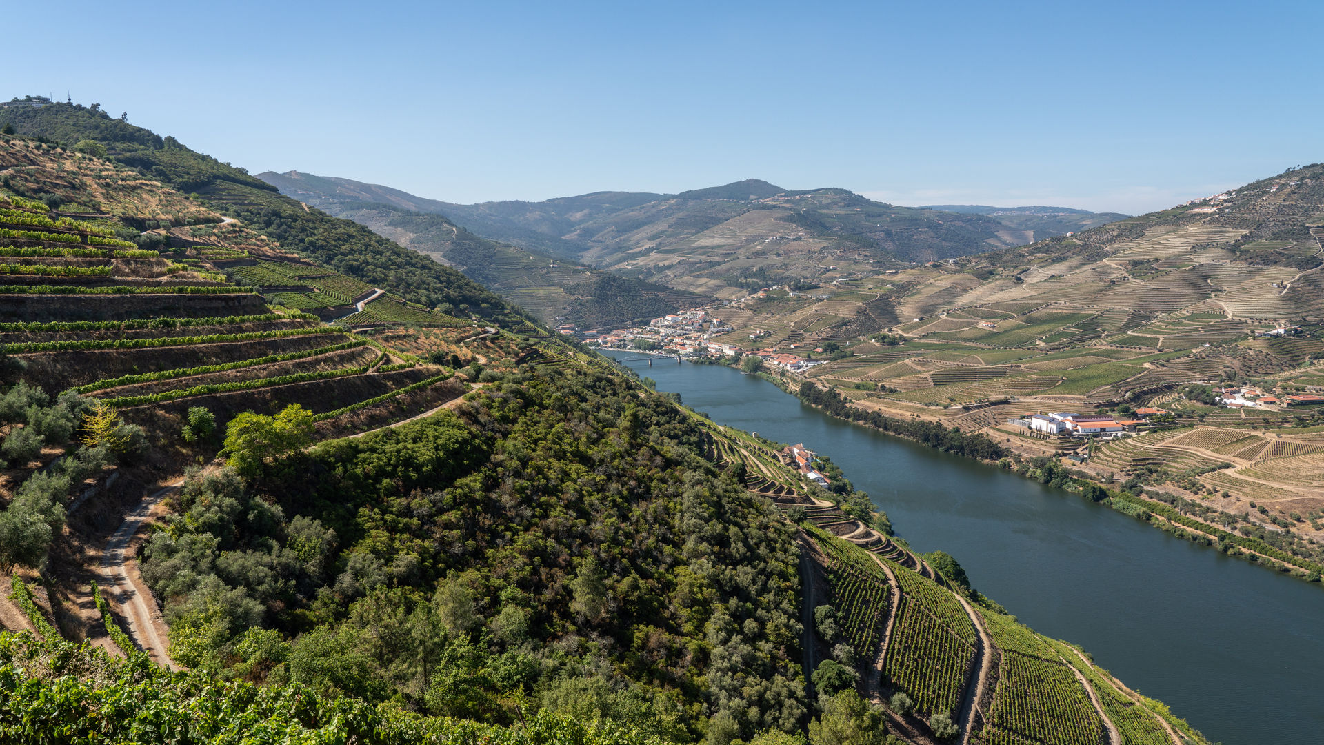 Douro Valley Vineyards, Douro Valley (Day Trip from Porto)