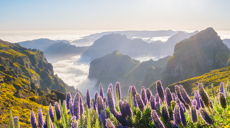 Pico do Arieiro, Madeira Island