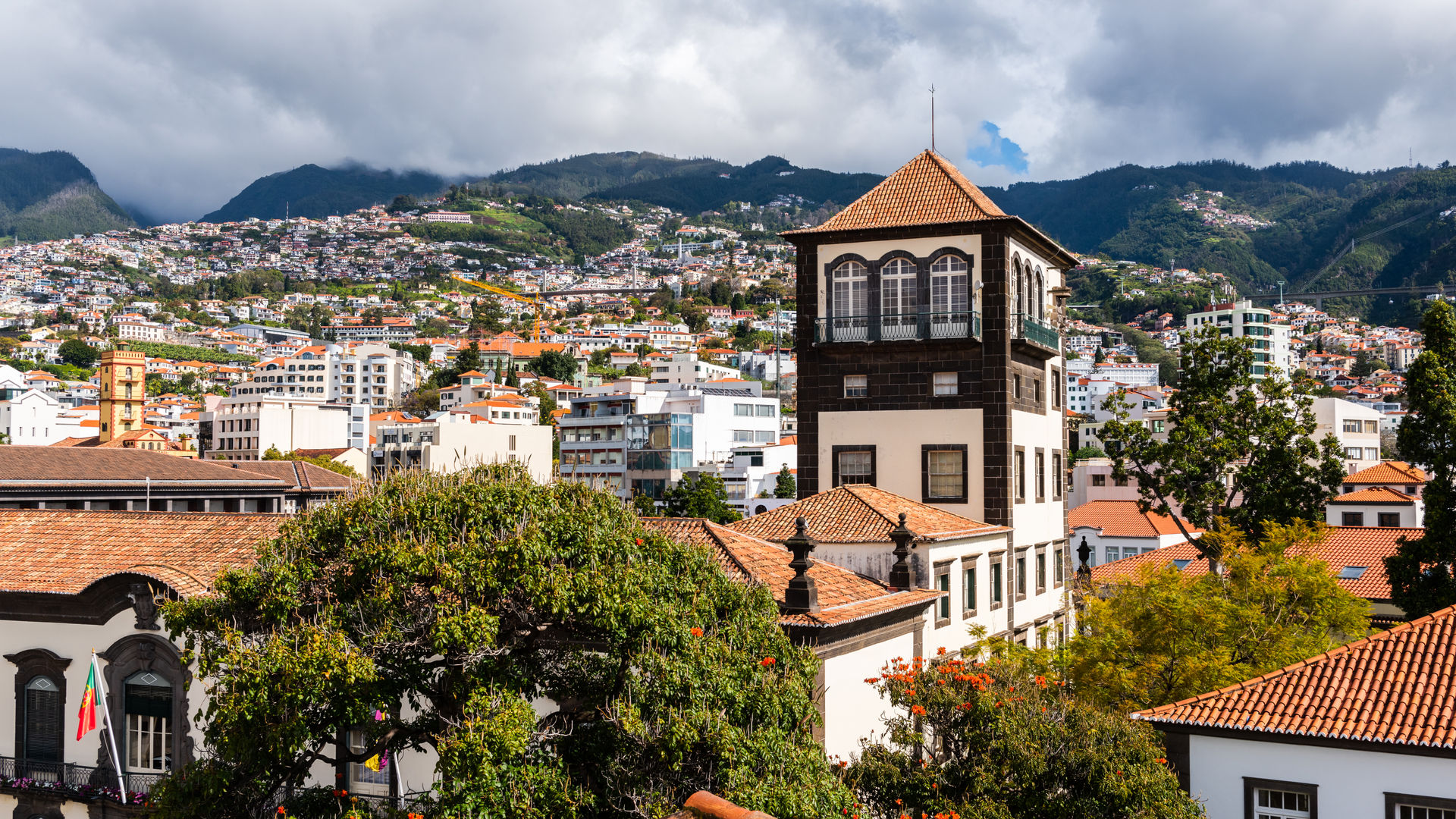 Charming Rooftops and Culture in Funchal