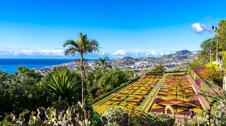 Botanical Garden, Funchal, Madeira Island