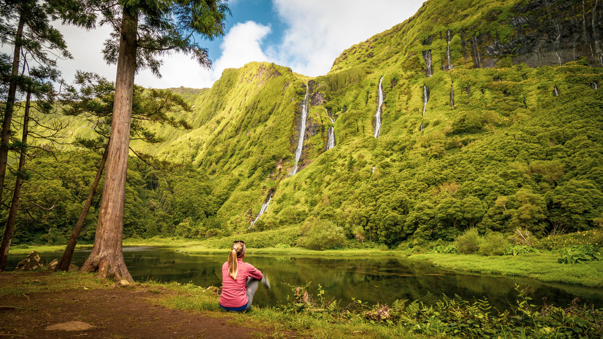 Poço da Ribeira do Ferreiro, Ilha das Flores