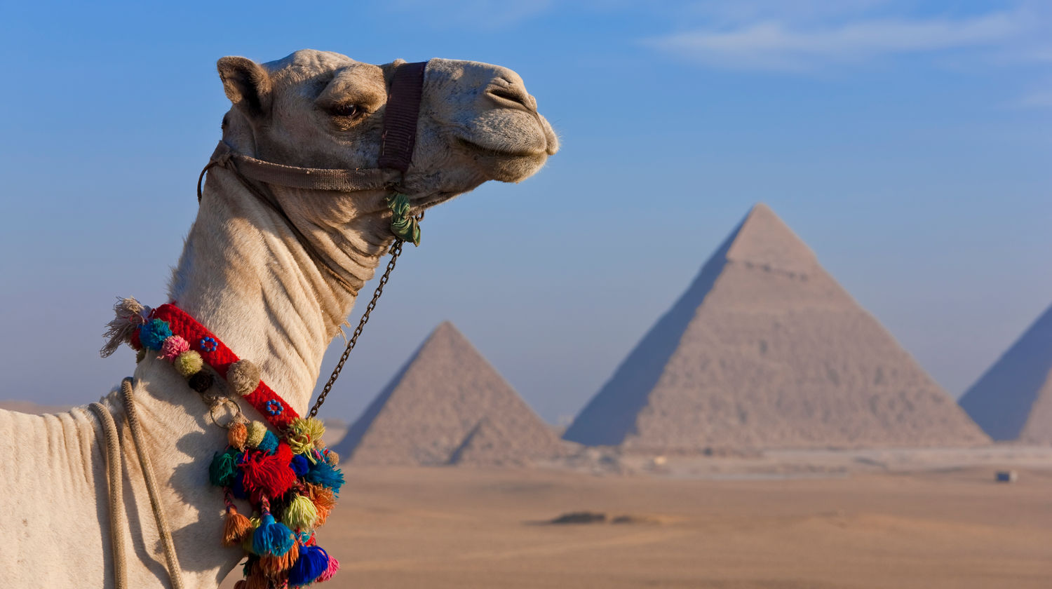 Passeio Guiado: <b> Pirâmides de Gizé, Esfinge, Passeio de Camelo + Almoço (Incluído)</b>