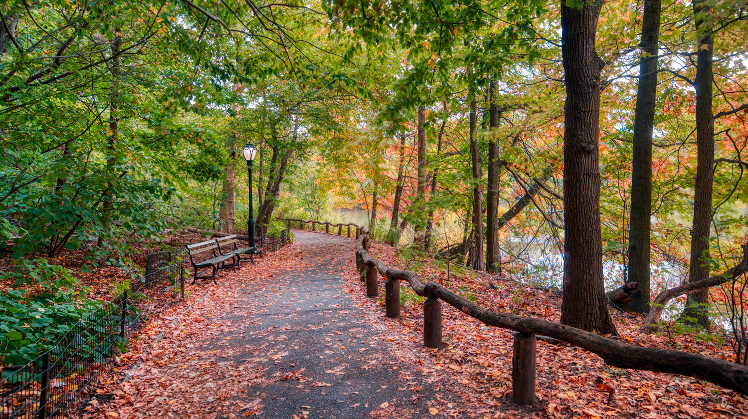 Central Park