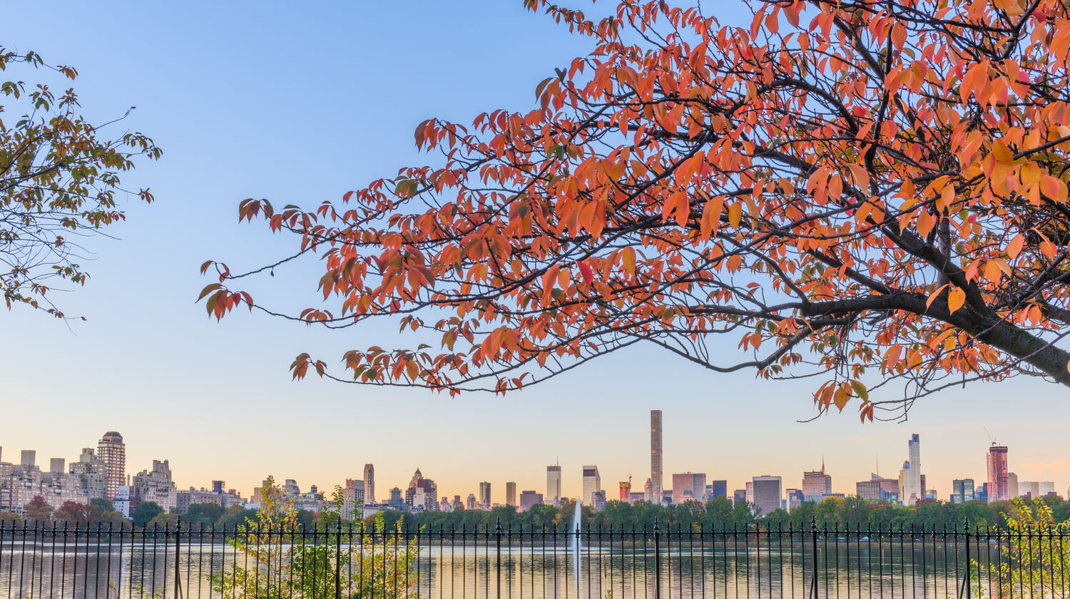 Central Park