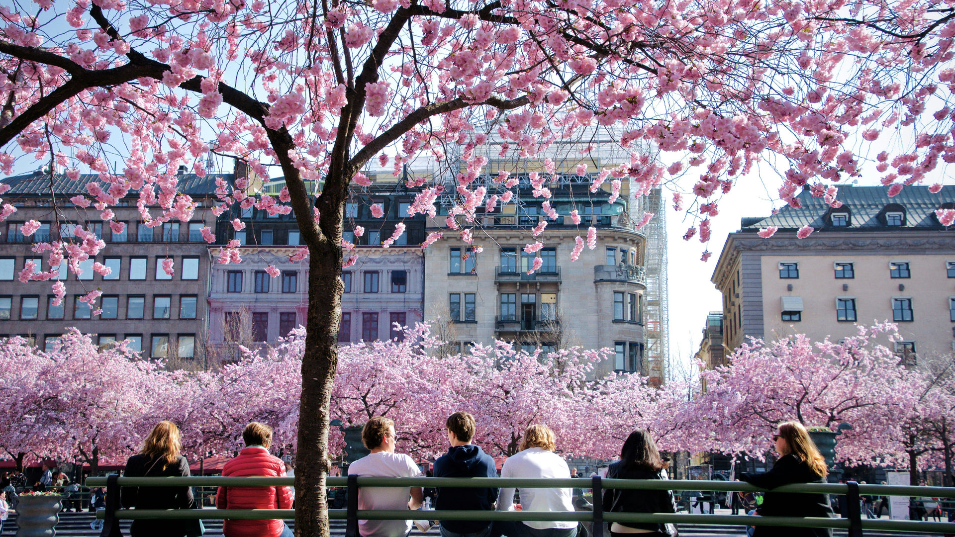 Parque Kungsträdgården