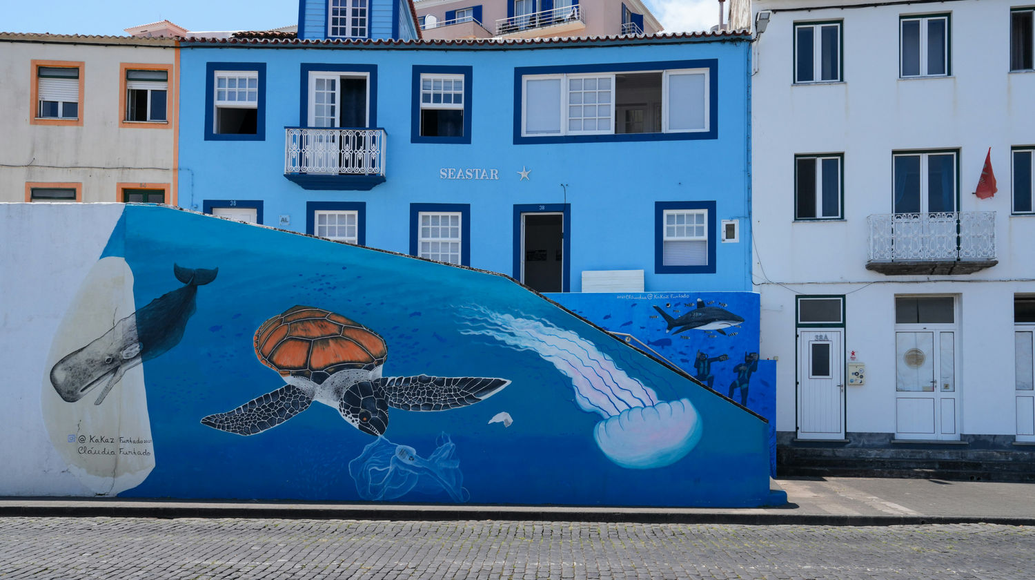 Cidade de Horta