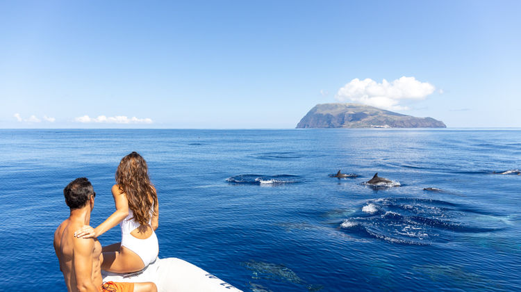 Passeio de Barco à Ilha do Corvo