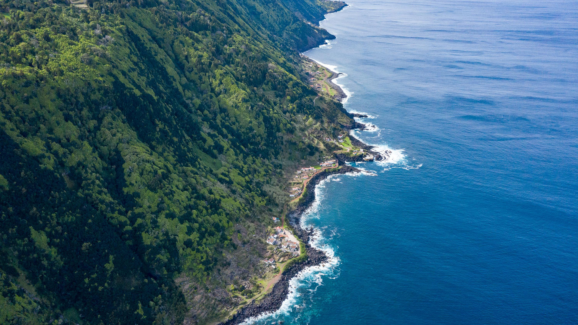 Fajã da Penedia, Ilha de São Jorge