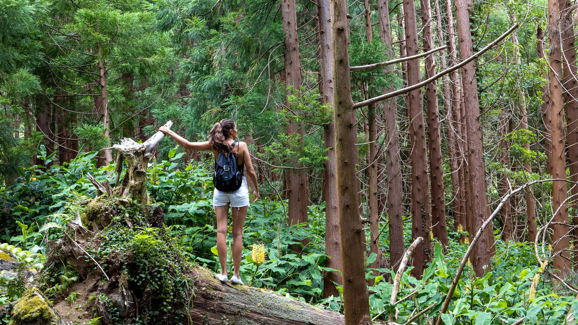 Caminho em Direção ao Poço da Ribeira do Ferro