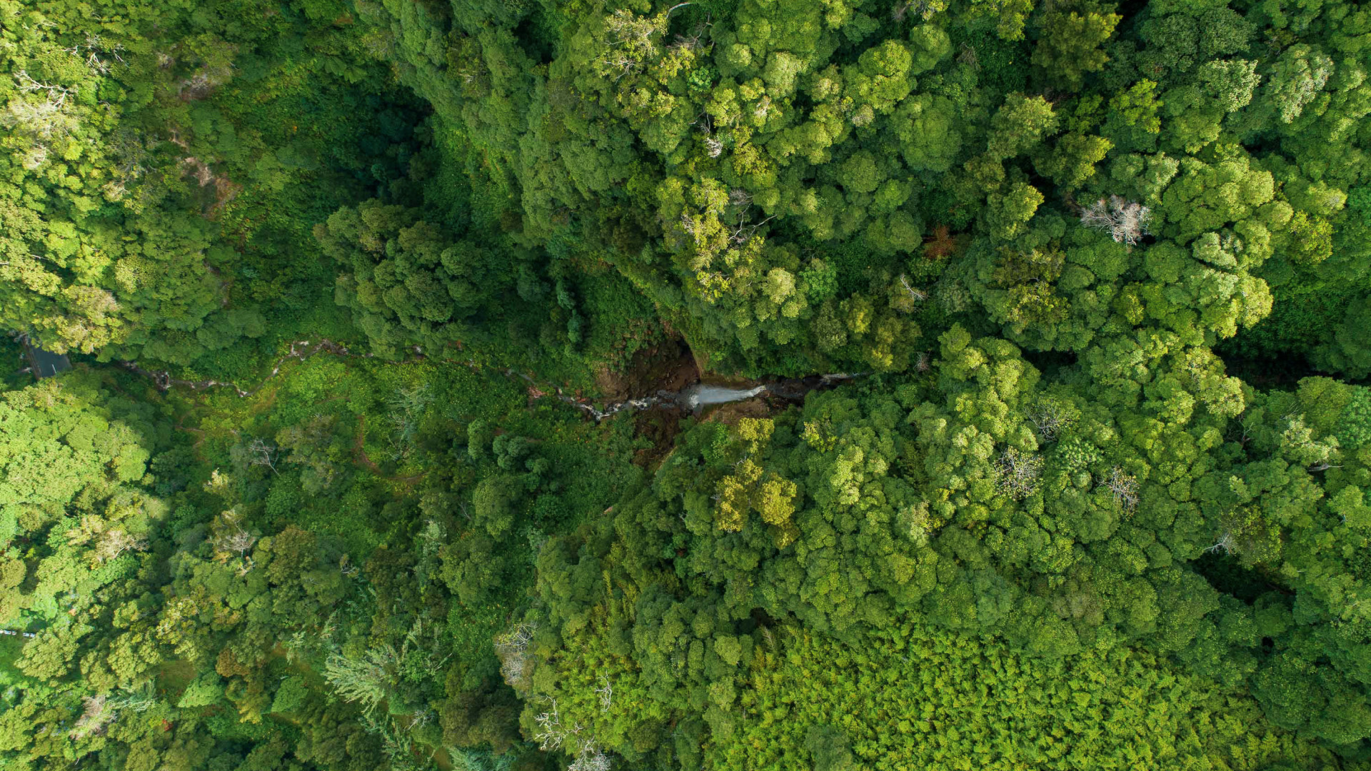 Cascata da Ribeira Quente 