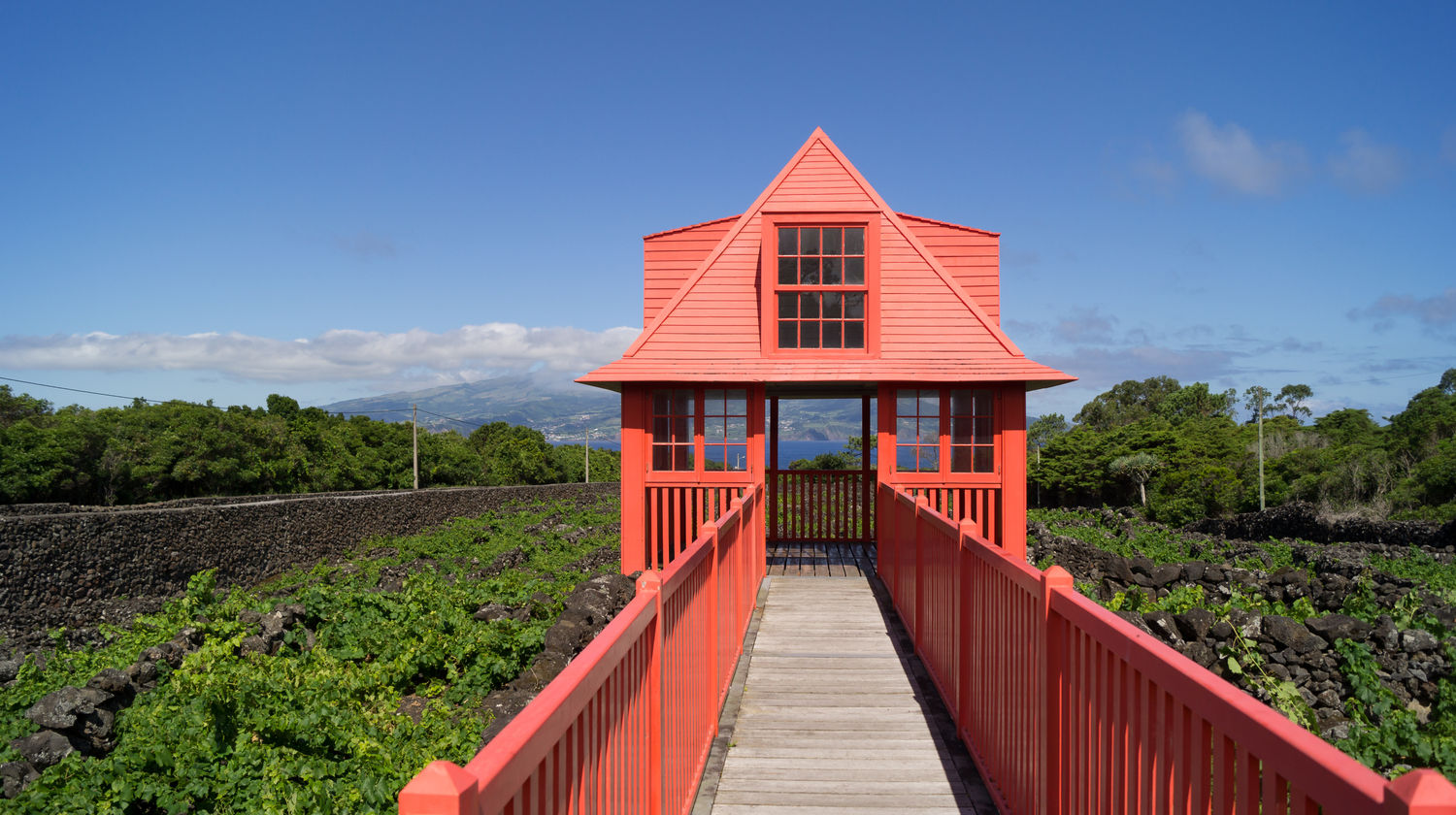 Museu do Vinho, Ilha do Pico
