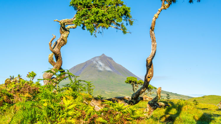 Graciosa & Pico: Pacote Multi-ilhas