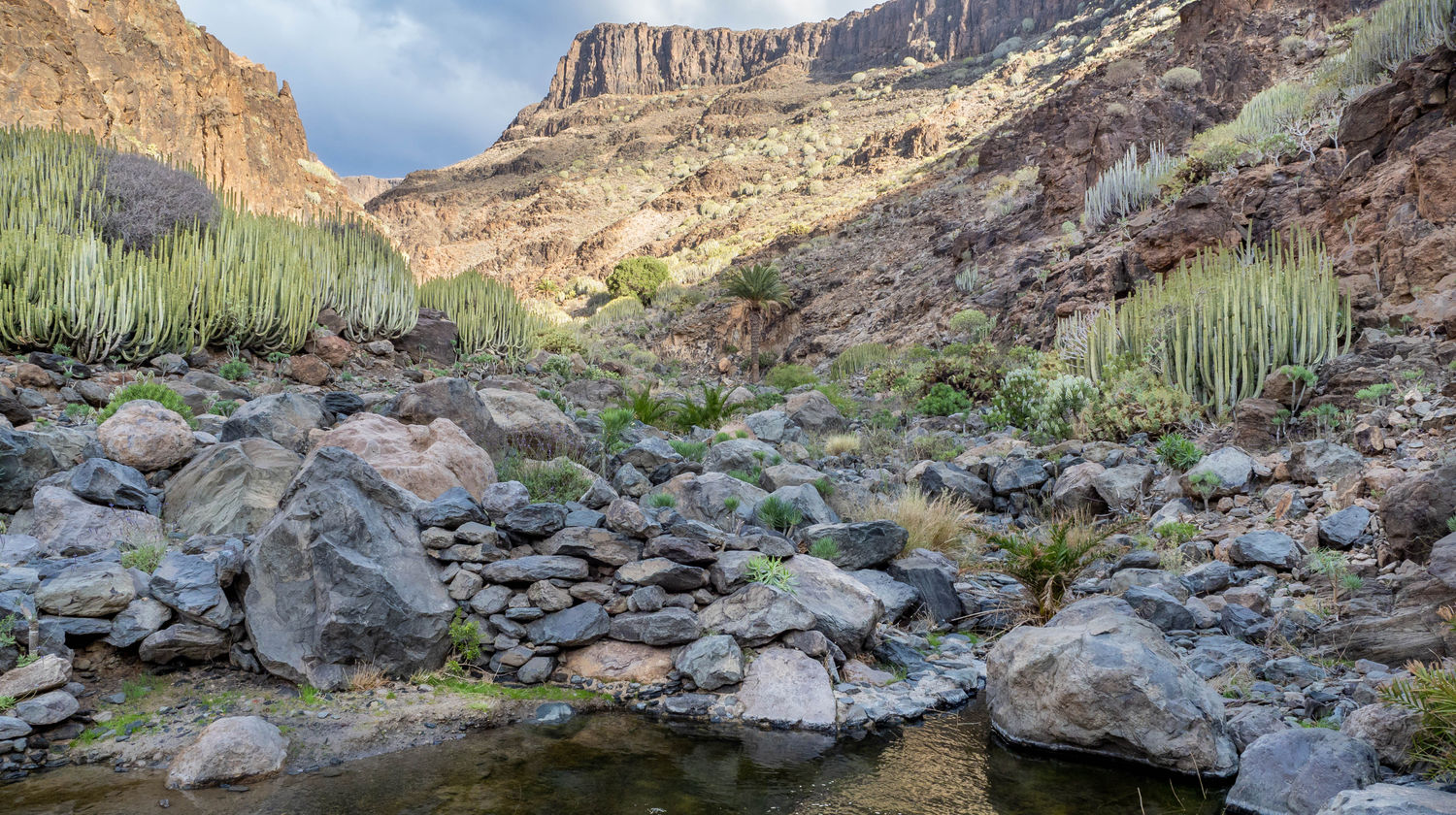 Barranco de las Palmas