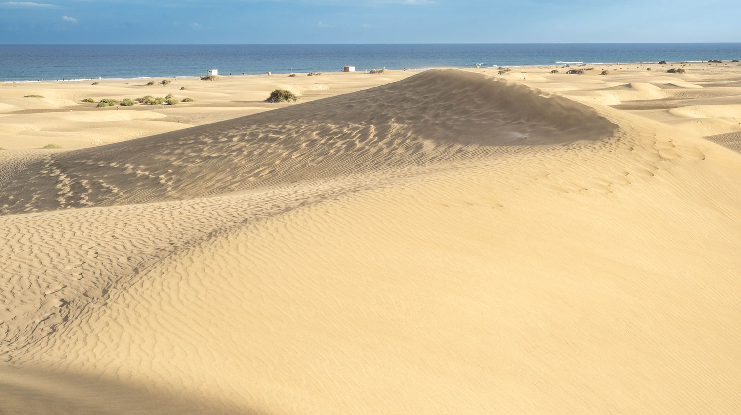 Dunas Maspalomas