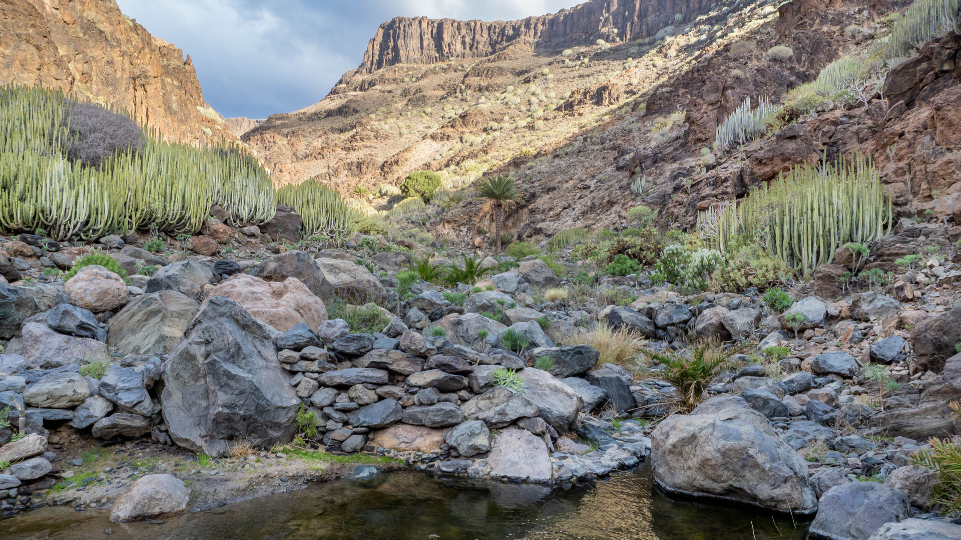 Barranco de las Palmas