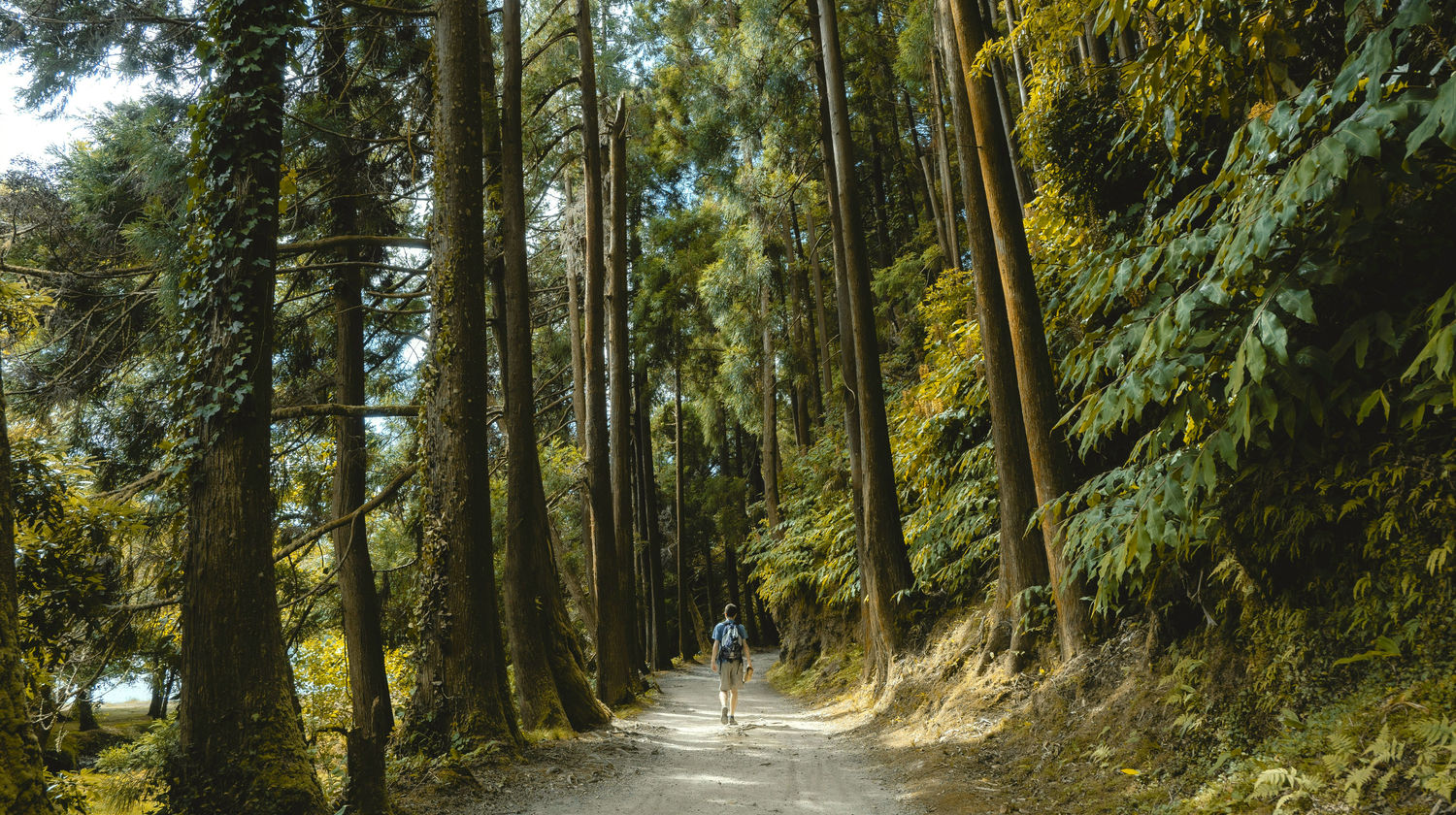 Lagoa das Furnas