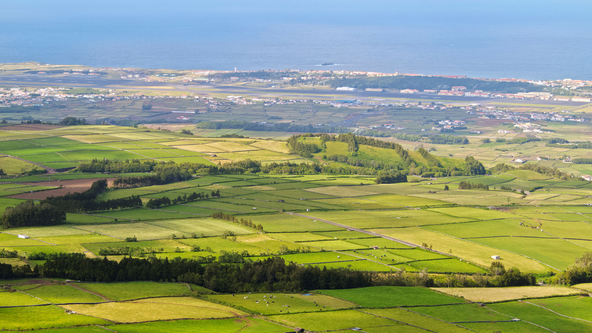 Manta de Retalhos, Ilha Terceira