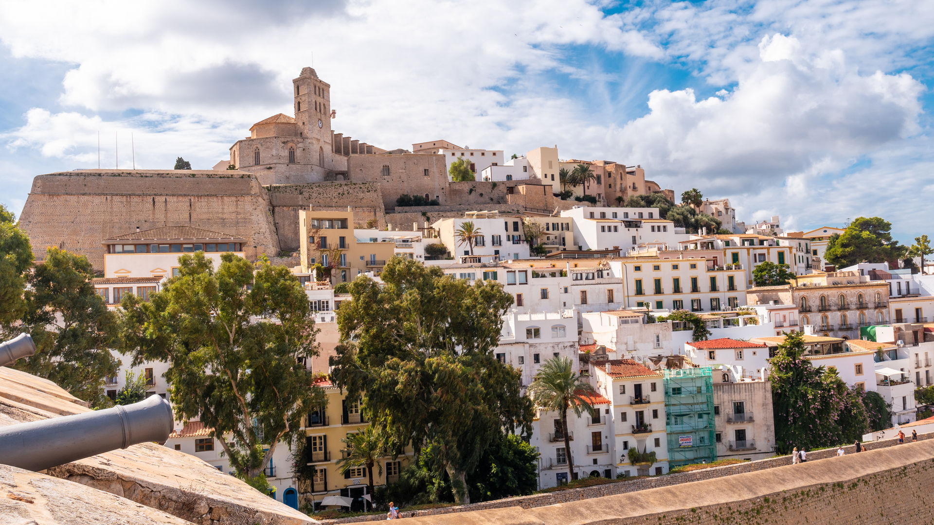 Catedral de Santa Maria de la Neu