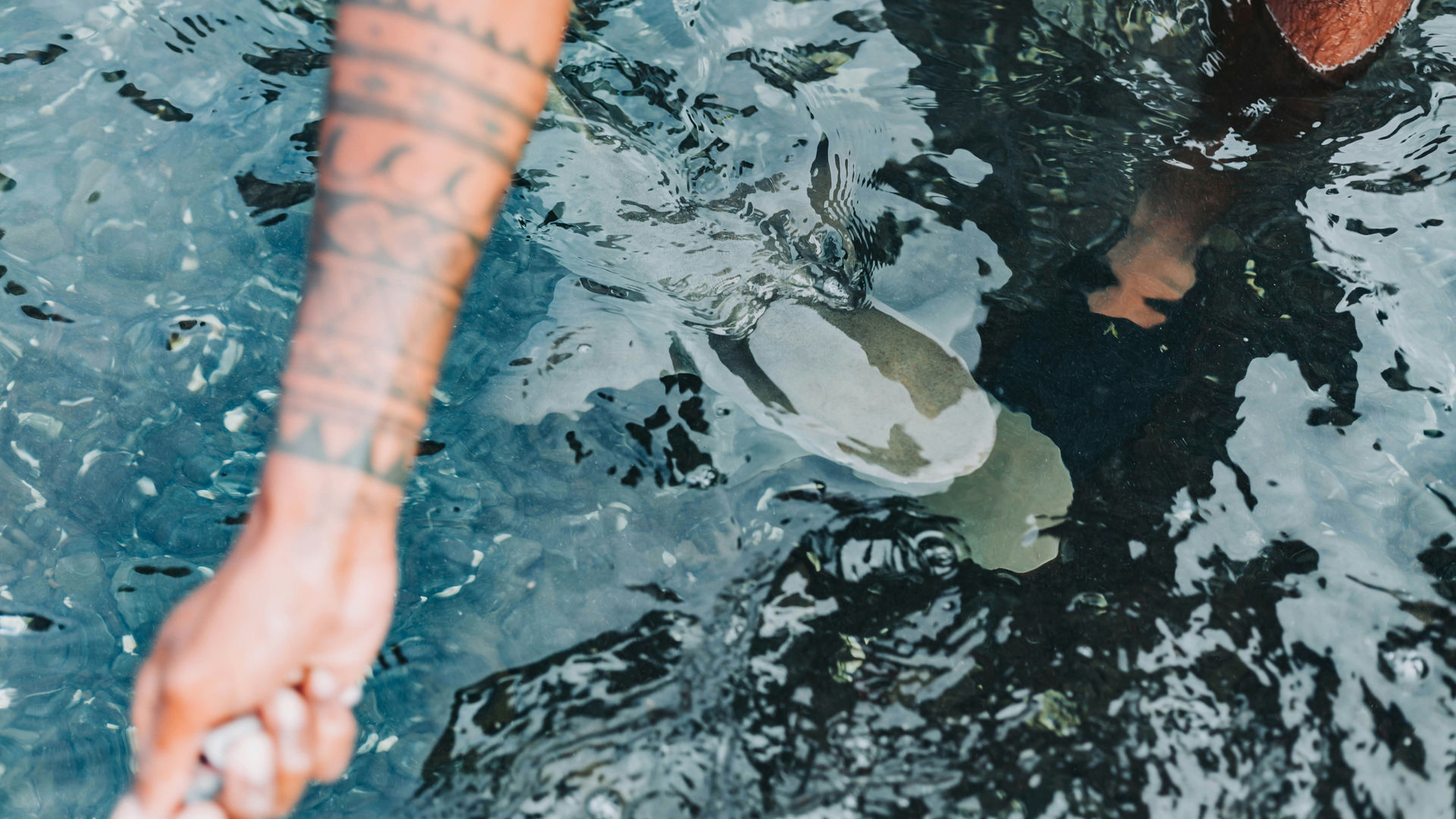 Baía dos Tubarões, Ilha do Sal