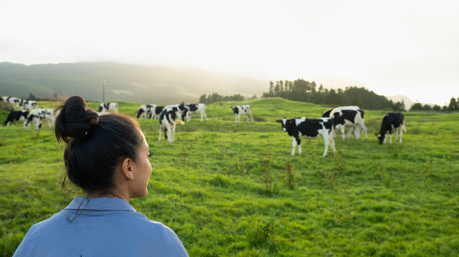 Experiência Rural
