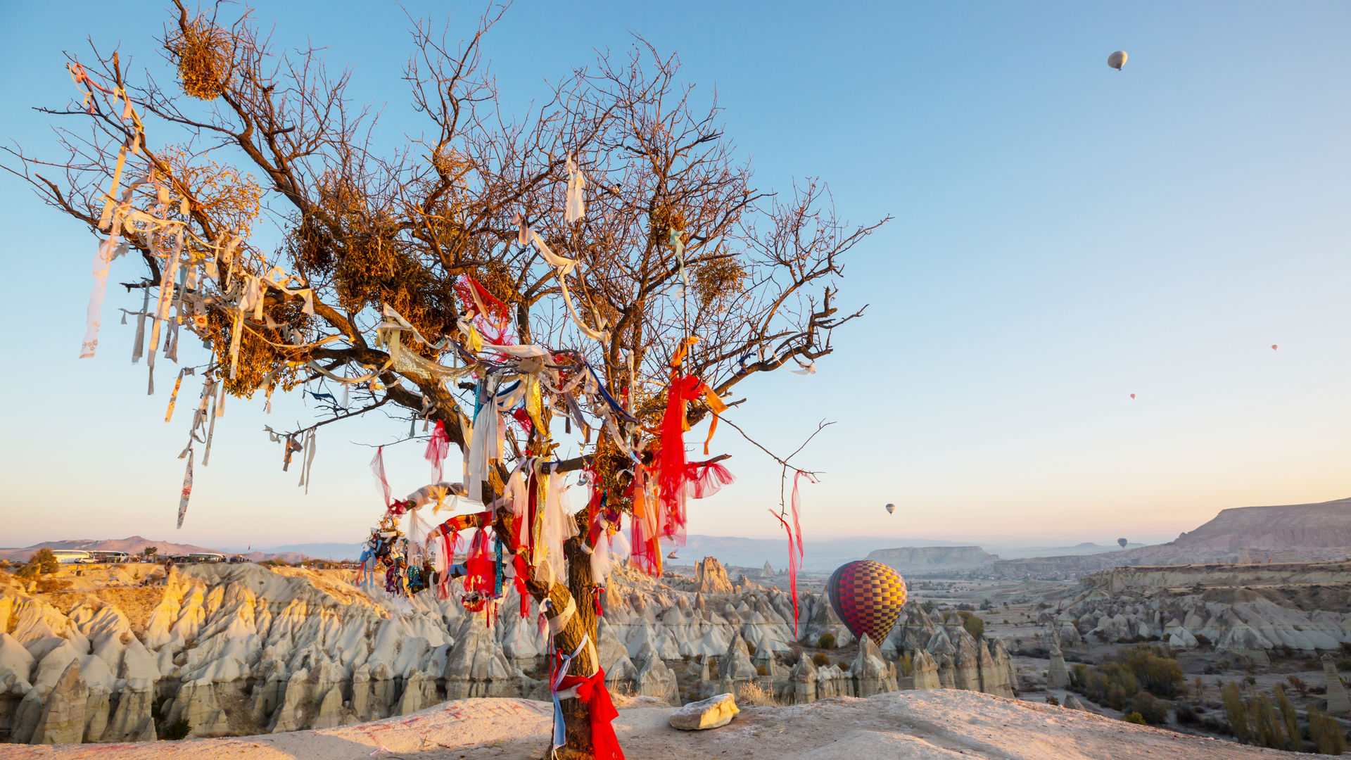 Árvore dos desejos no Vale Goreme, Capadócia