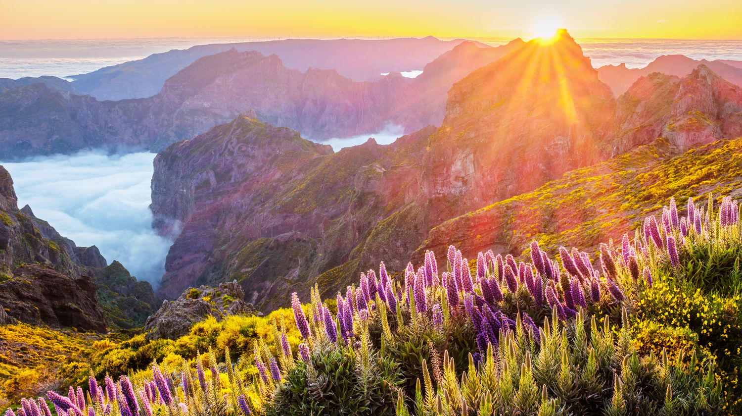 Pico do Arieiro