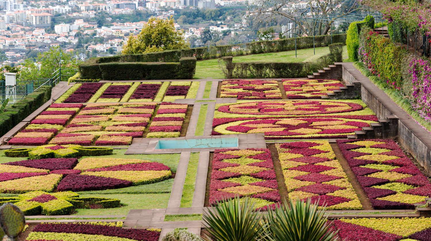 Jardim Botânico da Madeira