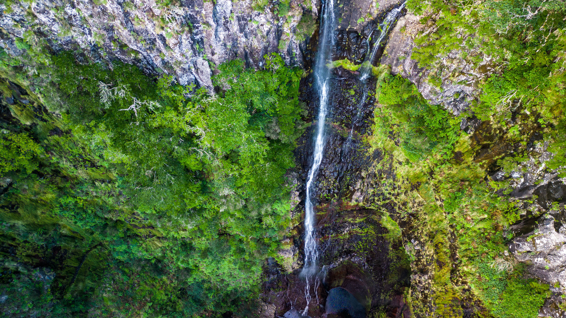 Levada das 25 Fontes