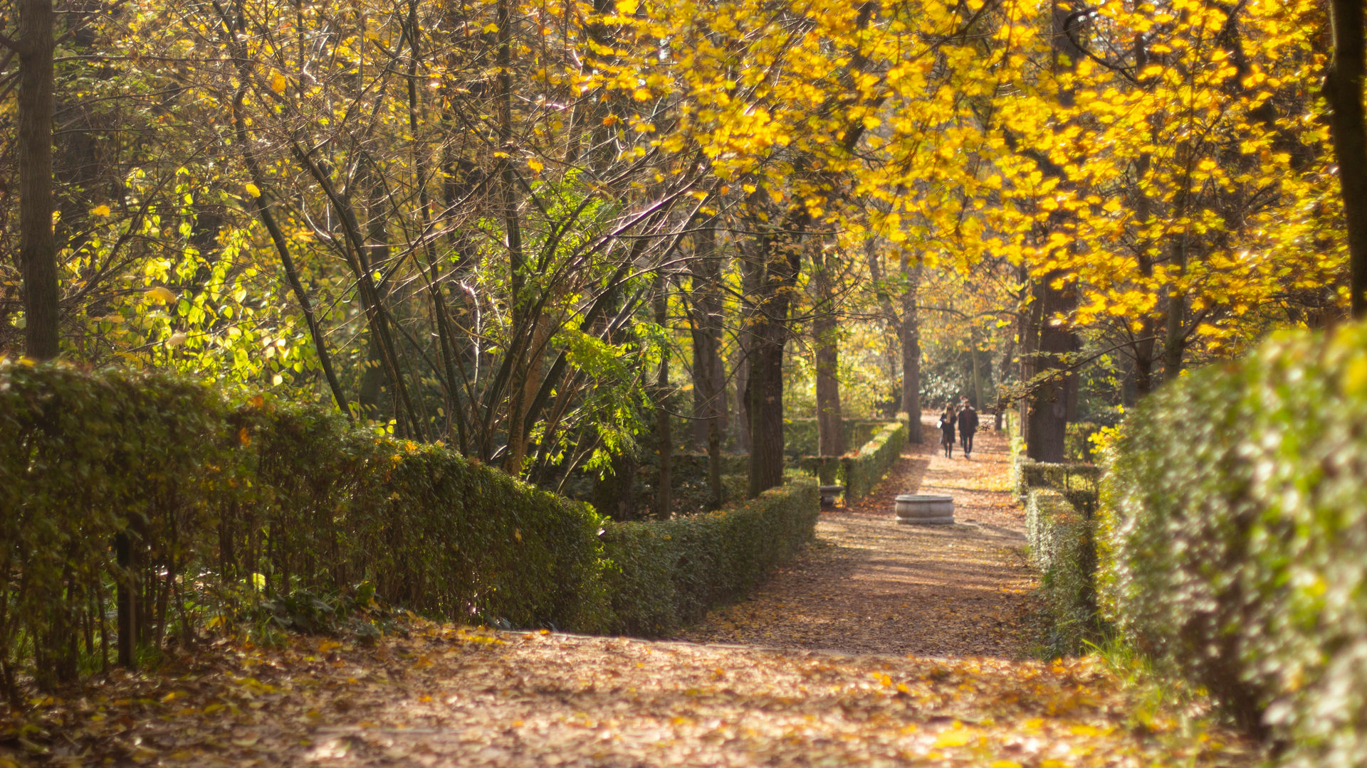 Parque del Retiro, Madrid, Espanha