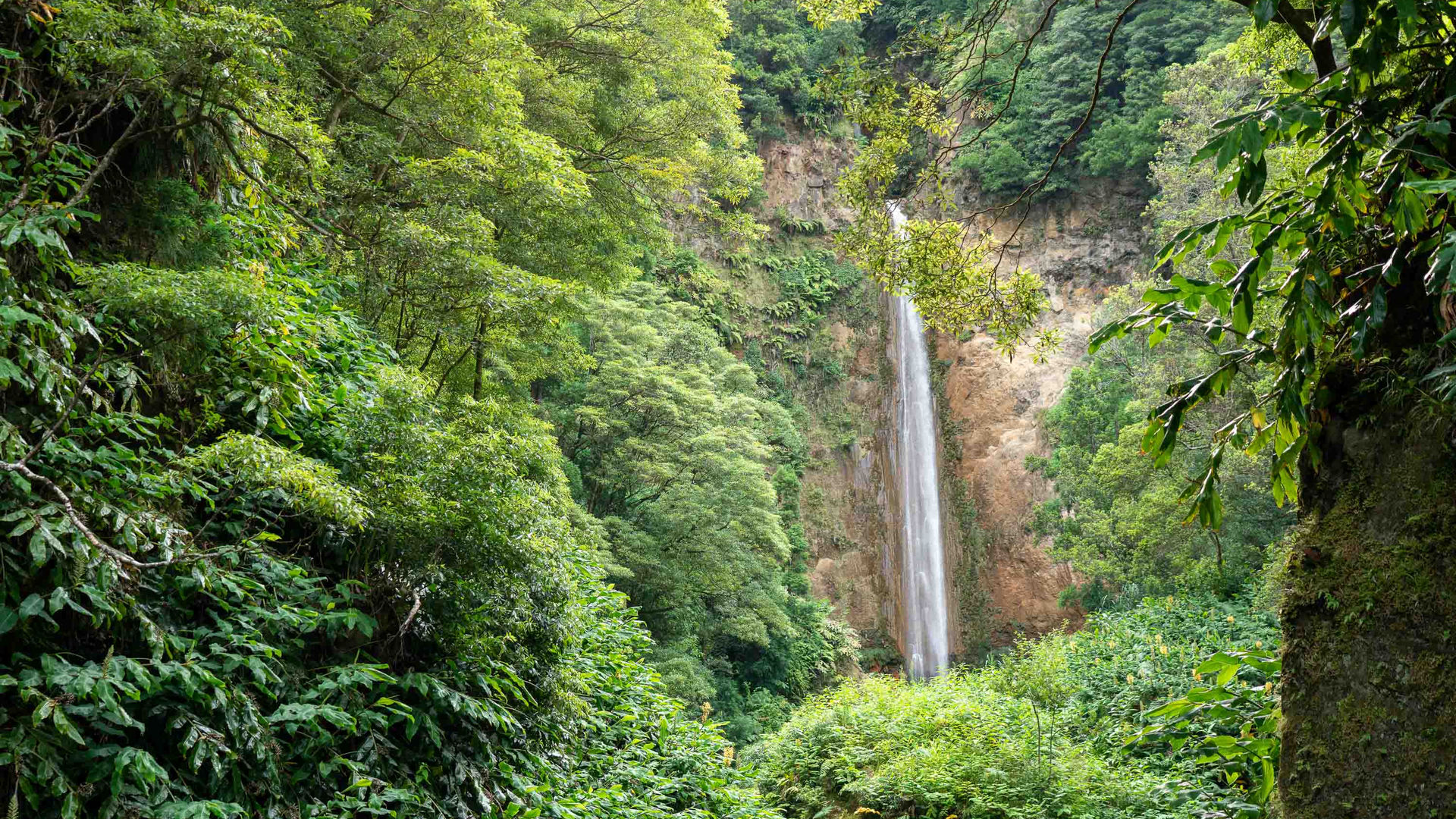 Cascata da Ribeira Quente