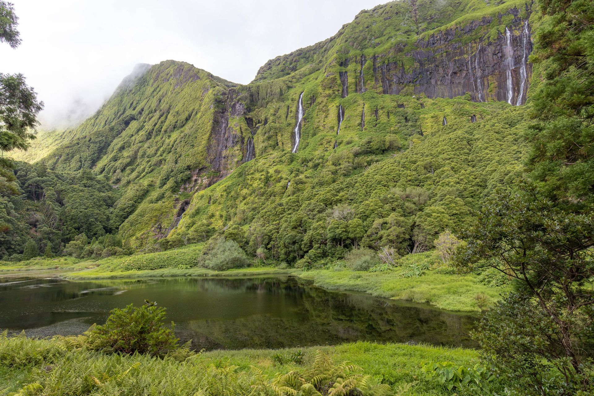 Poço da Ribeira do Ferreiro