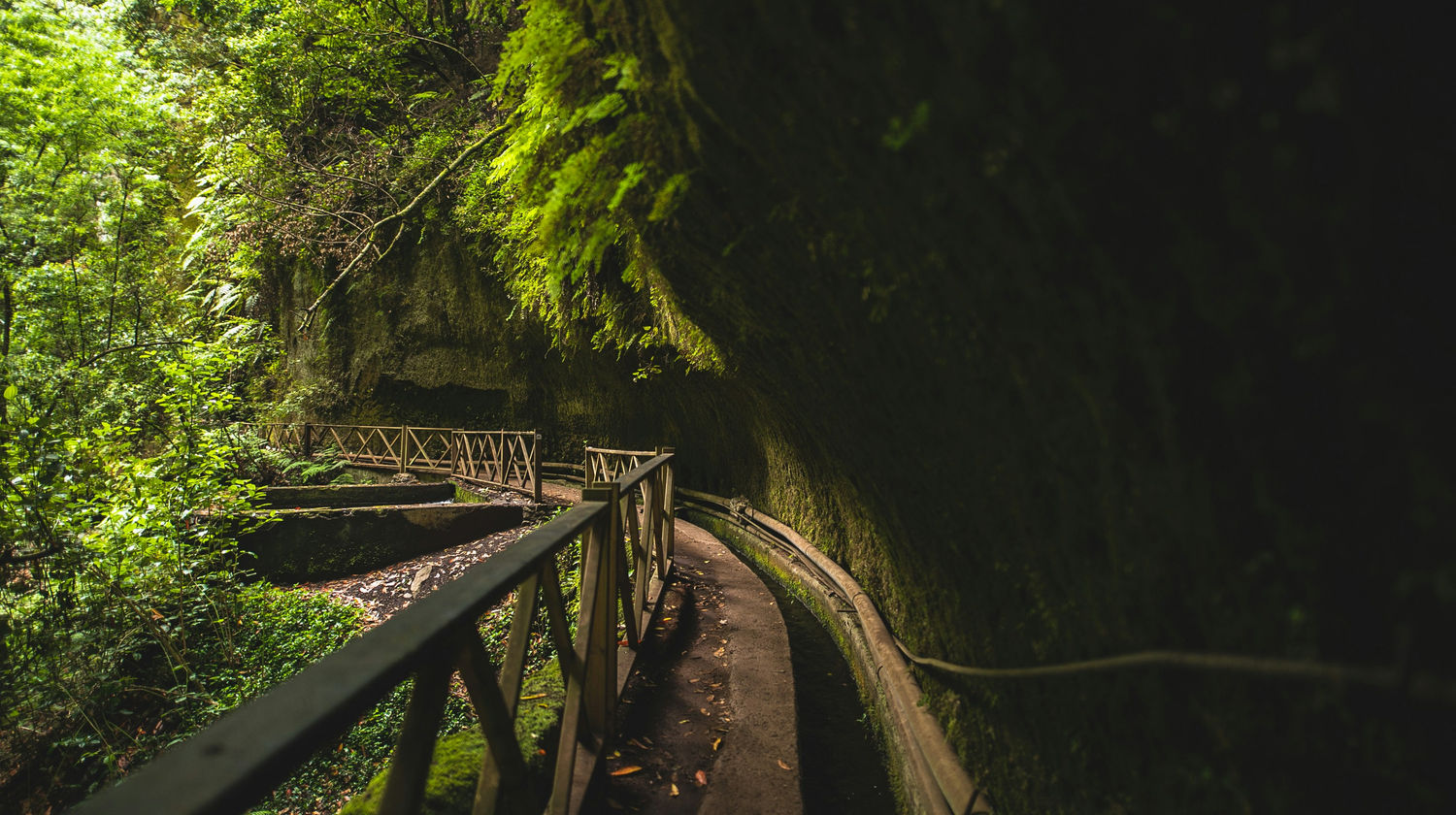 Los Tilos, La Palma