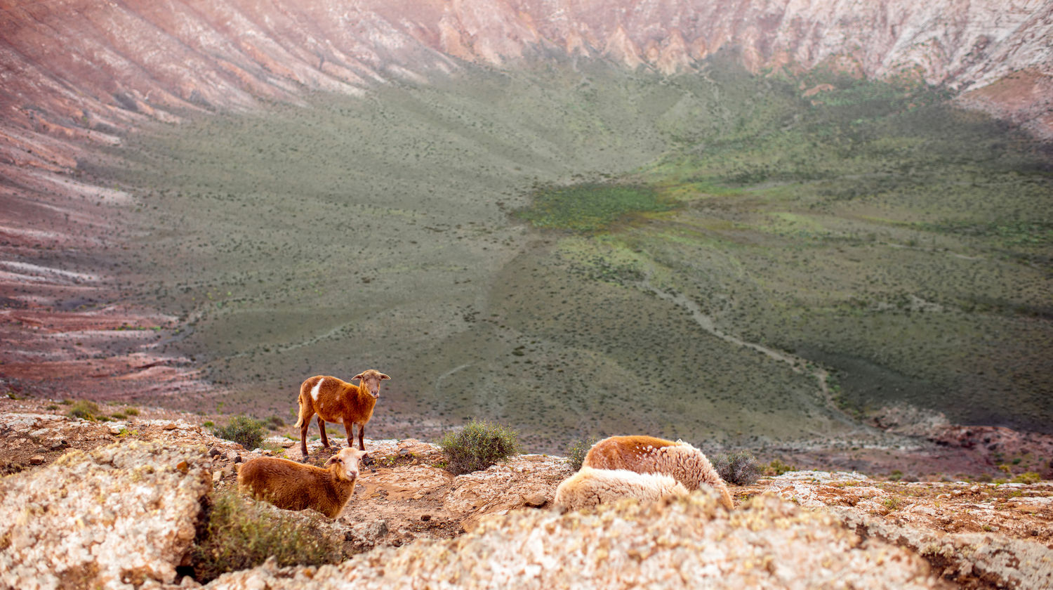 Cratera Vulcânica da Caldera Blanca