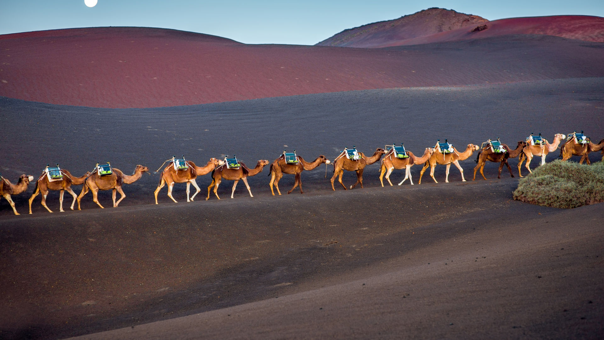 Parque Nacional de Timanfaya