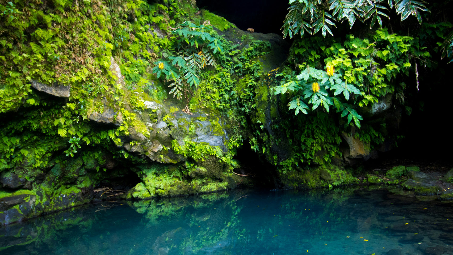 Poço Azul, Ilha de São Miguel