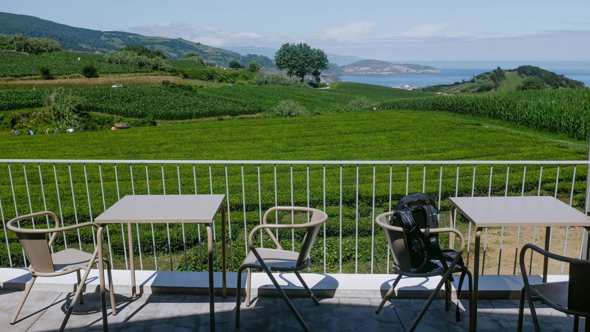 Fábrica de Chá da Gorreana