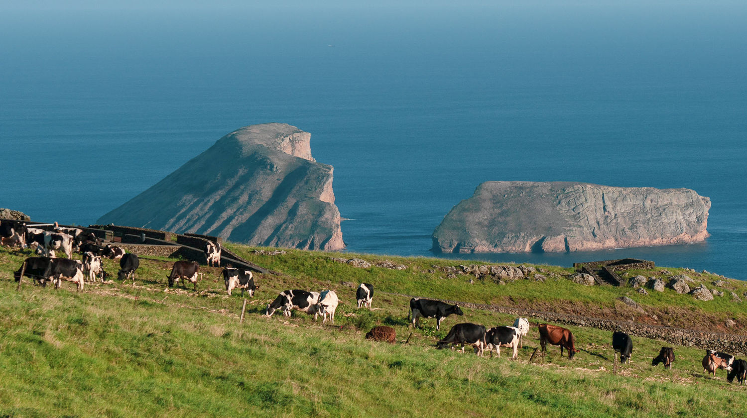 Ilhéus das Cabras, Ilha Terceira