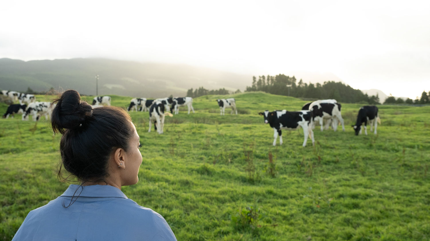 Cultura Pastorícia, Ilha Terceira