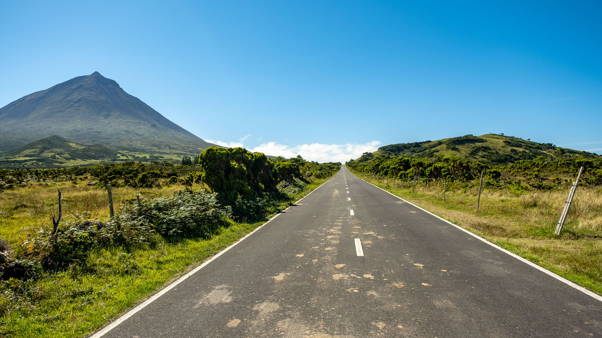 Estrada Florestal, Ilha do Pico