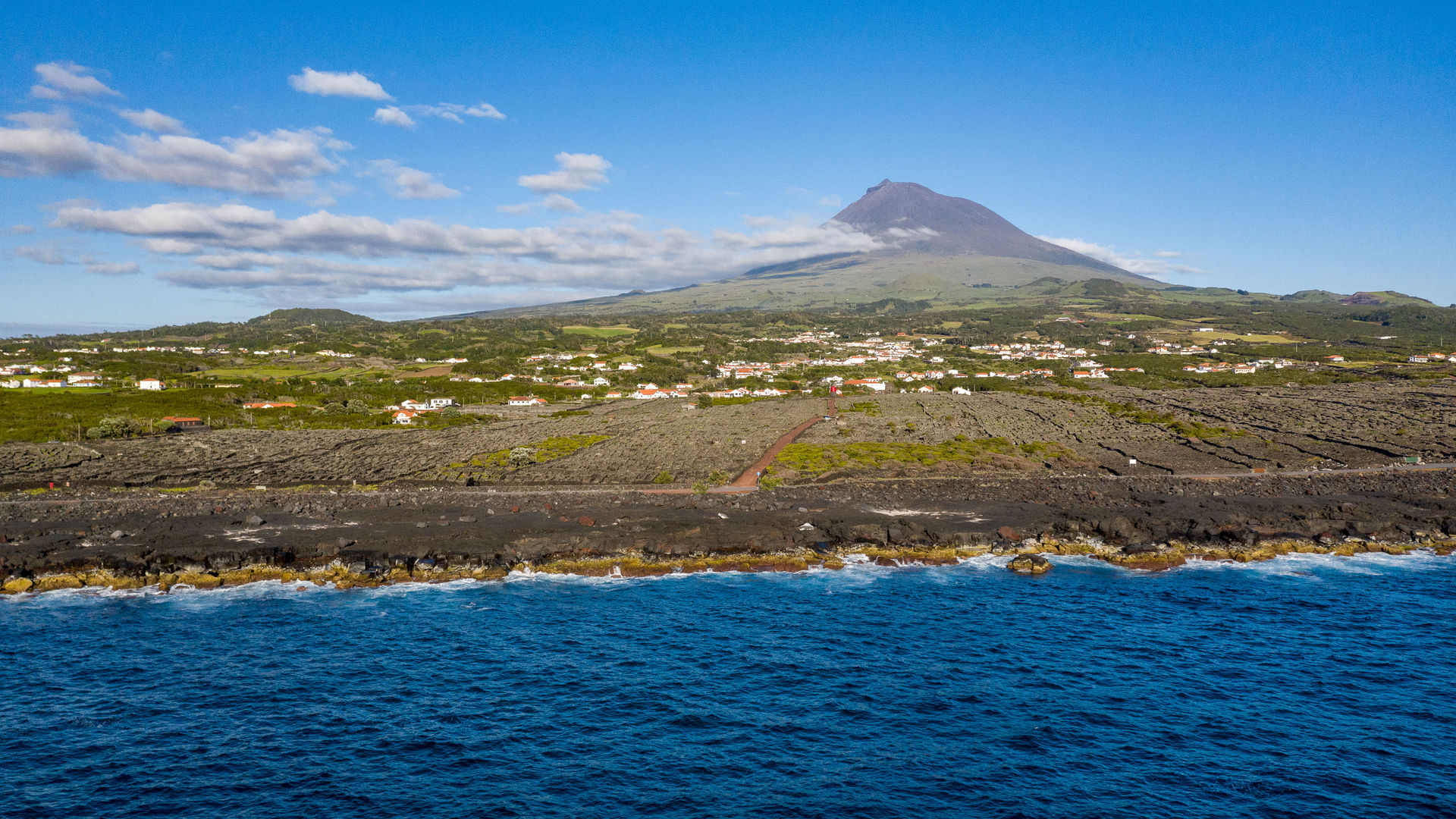 Vinhas da Criação Velha, Ilha do Pico